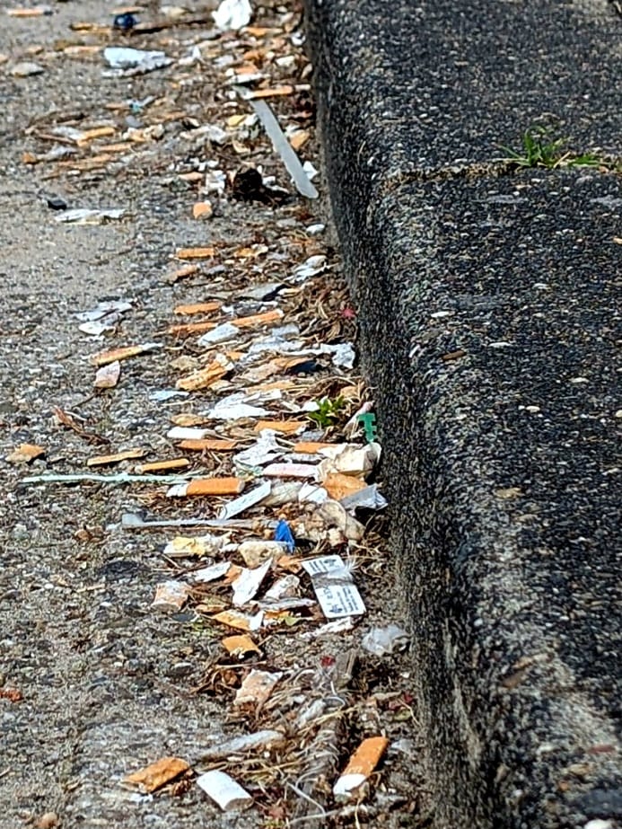 Cleanup Almere-Peuken goot-gooi het maar over stoeprand-Klimaatburgemeester-Almere