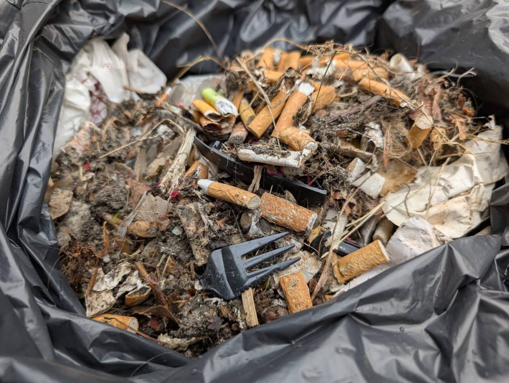 Cleanup Almere-peuken  oogst door Chris Soebroto-klimaatburgemeester Almere