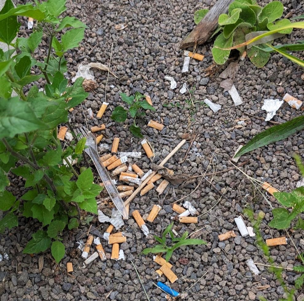 Peuken tussen het groen-2- CleanUp Almere-klimaatburgemeester Almere